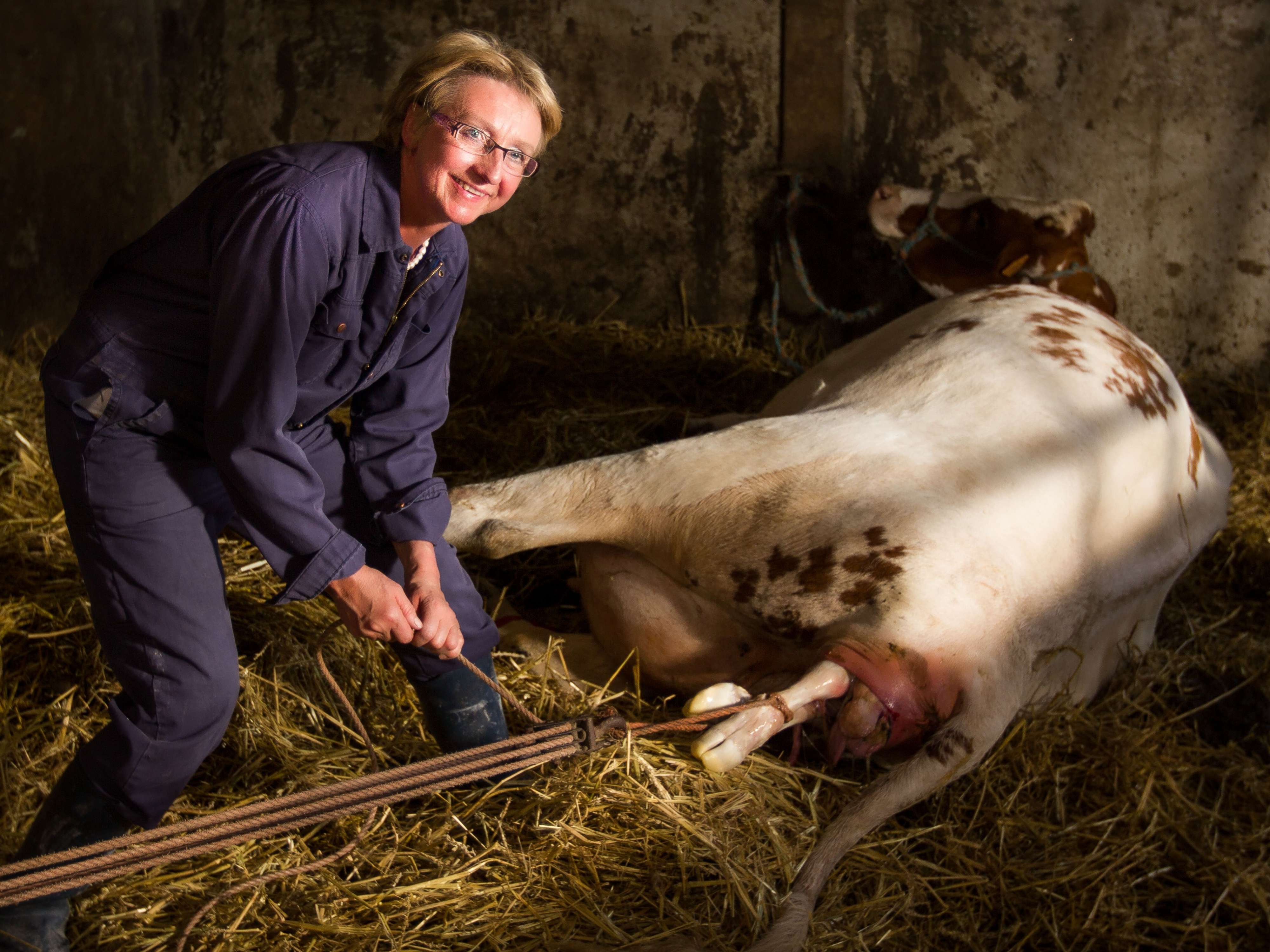 Vandenbussche Cecile
